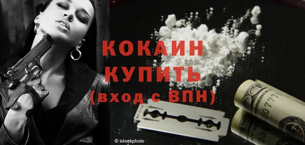 apvp Новодвинск