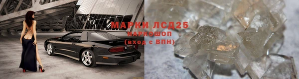 таблы Новозыбков