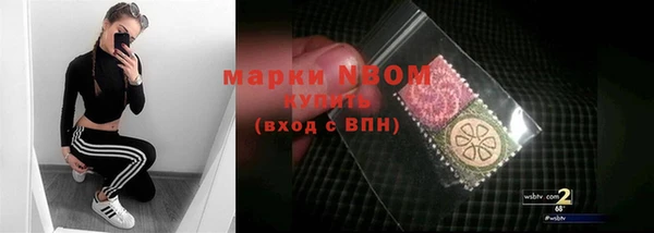 таблы Новозыбков