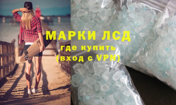 таблы Новозыбков