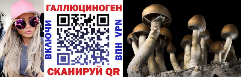 Галлюциногенные грибы мицелий  Качканар 