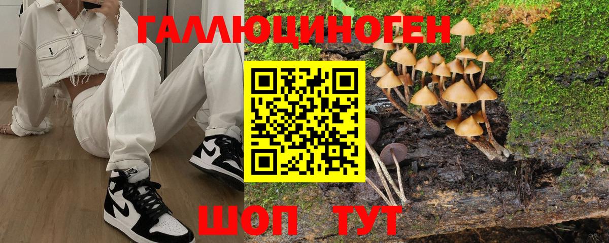 Качканар  Псилоцибиновые грибы GOLDEN TEACHER  Вход с VPN 