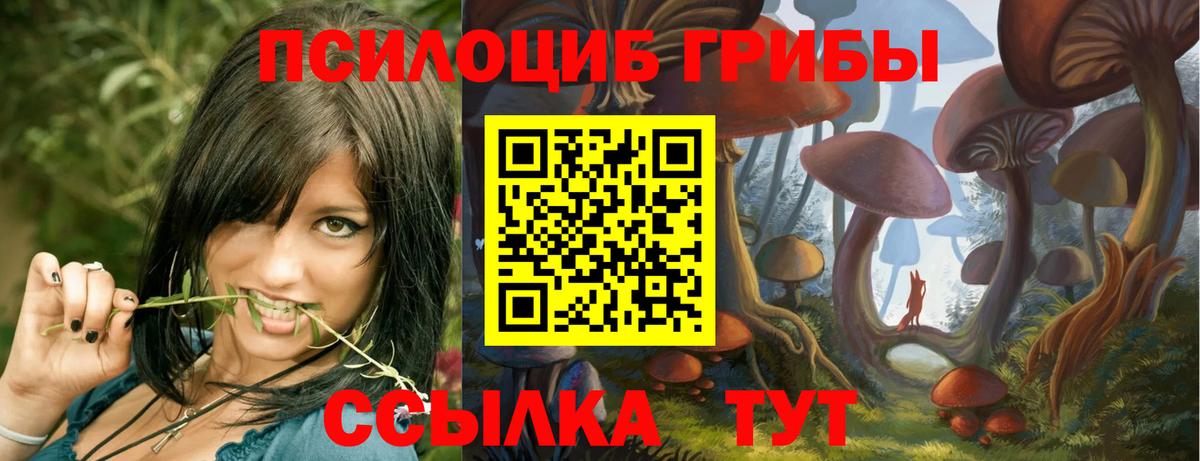 купить закладку  Псилоцибиновые грибы GOLDEN TEACHER  Качканар  Псилоцибиновые грибы Cubensis 